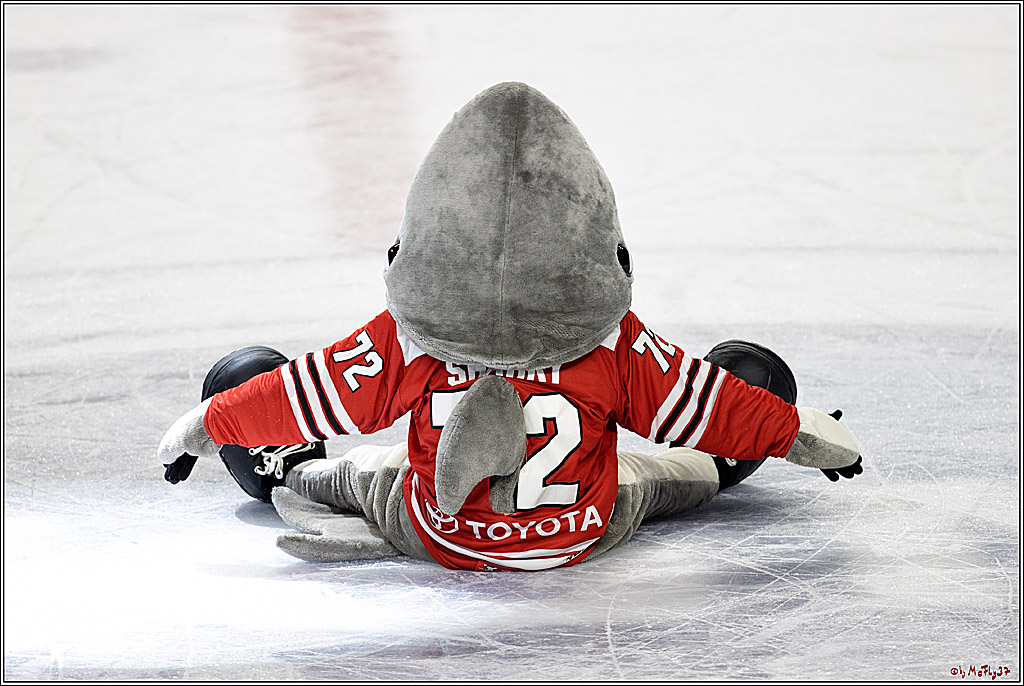 PENNY DEL;  Kölner Haie - Adler Mannheim; Köln, 04.11.2022